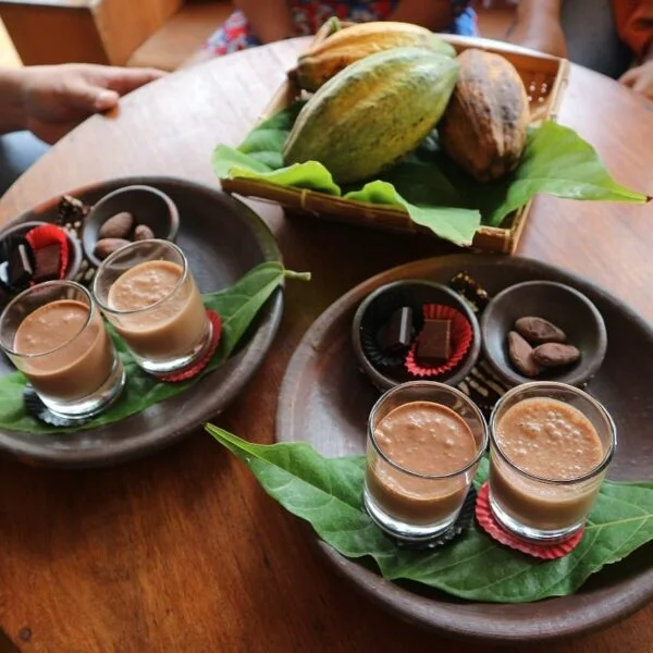 Chocolate Tasting Experience