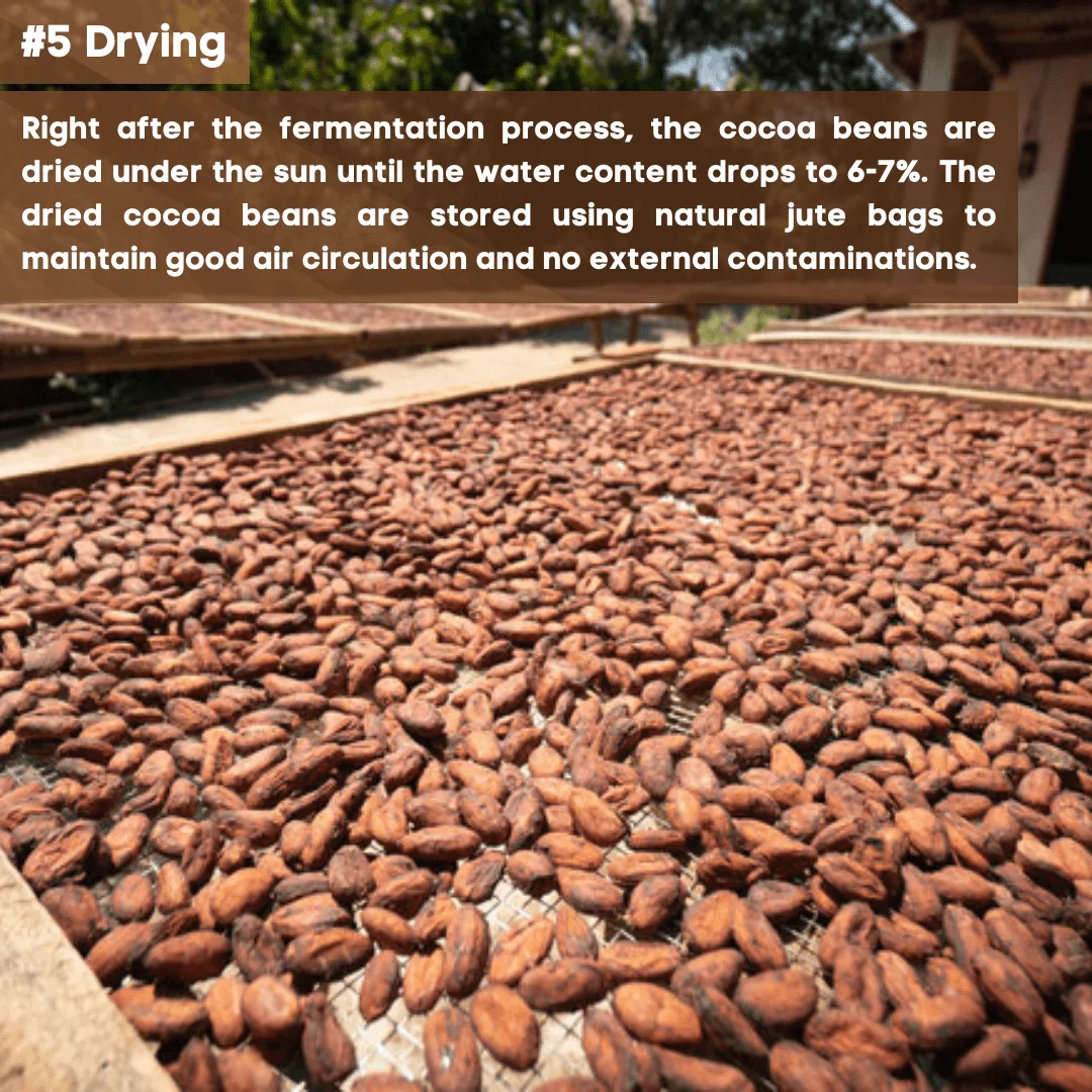 5 Drying