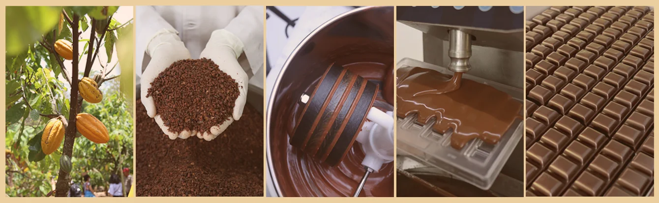 Bean To Bar Production - Chocolate Monggo