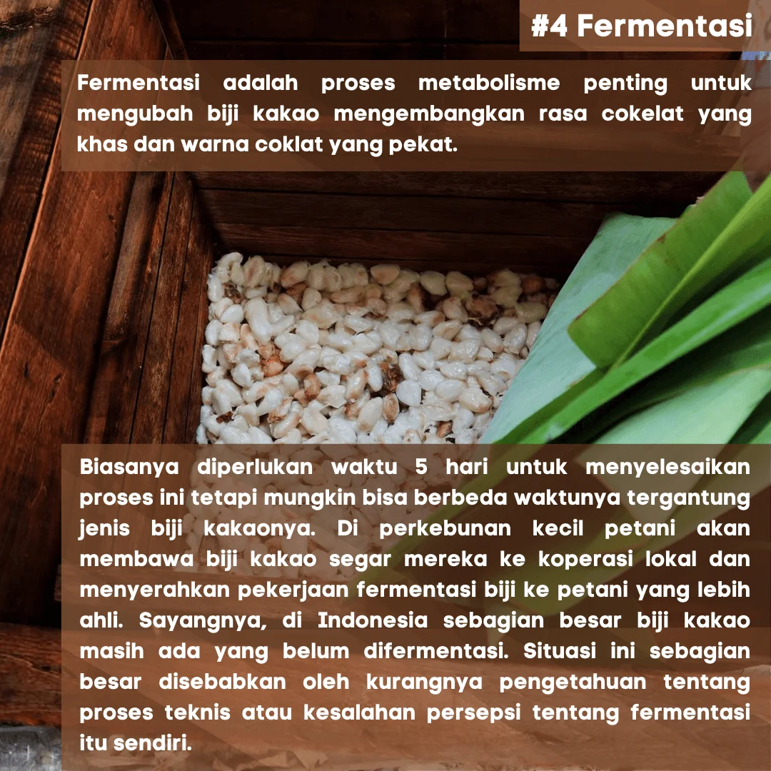 4 Fermentasi