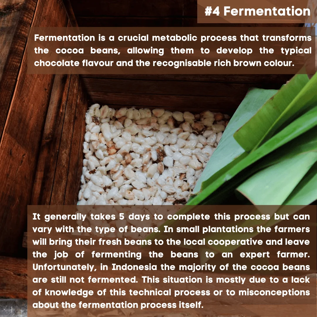 4 Fermentation