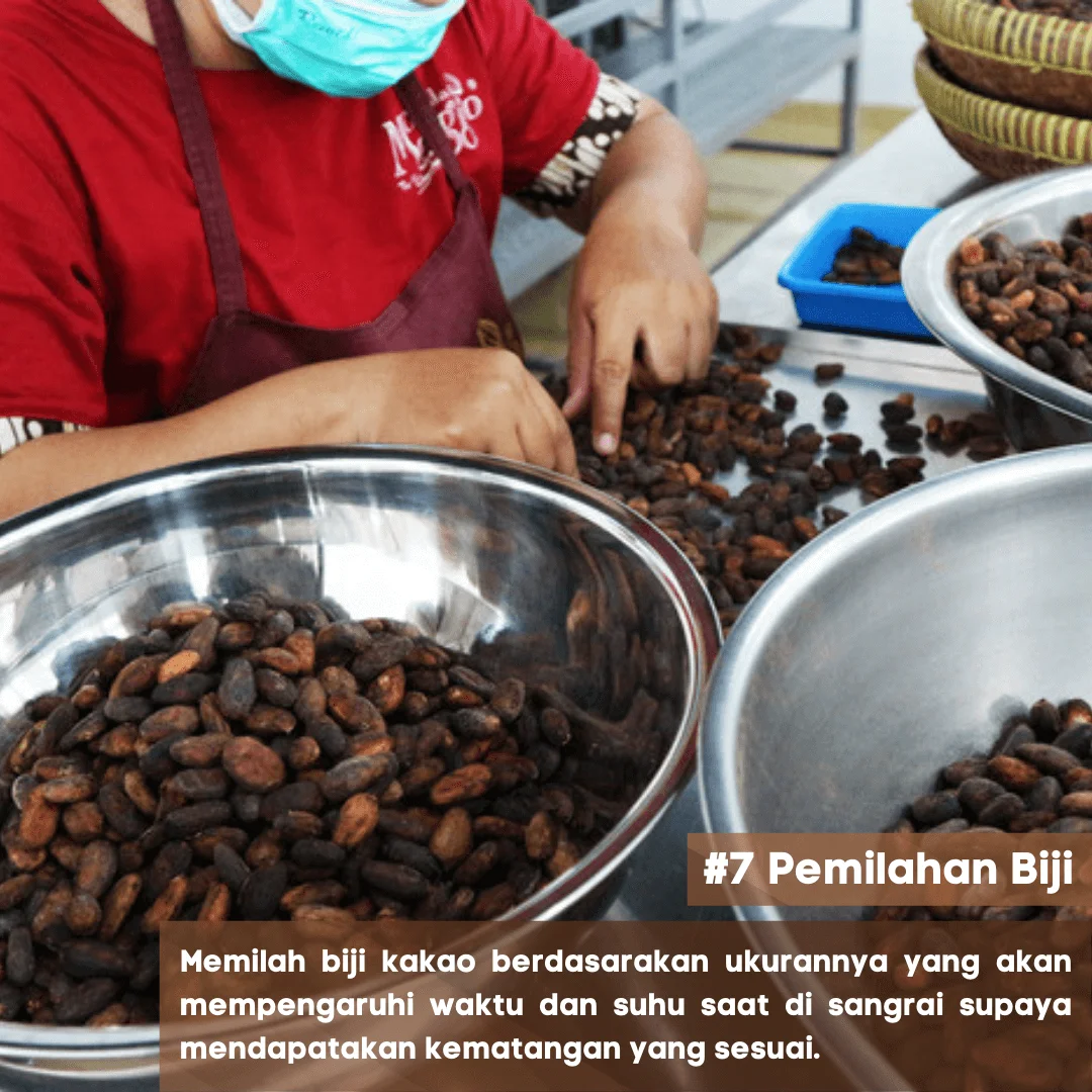 7 Pemilahan Biji